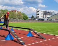 20230520_130305_změna velikosti.jpg